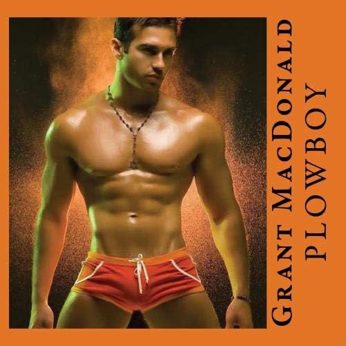 Plowboy