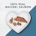 Purina Fancy Feast Natural, Grain Free Wet Cat Food Complement, Purely Filets Natural Wild Alaskan Salmon - (10) 0.99 oz. Sleeves