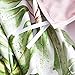 Wake In Cloud - Botanical Duvet Cover Set, Sateen Cotton Bedding, Tropical Green Plant Tree Leaves Pattern Printed, Pink on Reverse, Zipper Closure (3pcs, Queen Size)