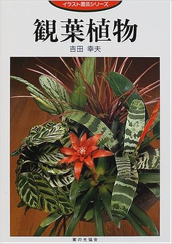 観葉植物 イラスト園芸シリーズ Amazon Com Books