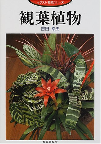 観葉植物 イラスト園芸シリーズ Amazon Com Books
