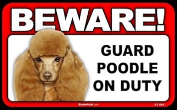 poodle guard dog