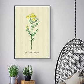 Floating Framed Canvas Wall Art for Living Room, Bedroom Vintage Green Plant Canvas Prints for Home Decoration Ready to Hang - 16x24 inches