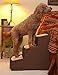 Pet Gear Easy Step III Extra Wide Pet Stairs, 3-step/for cats and dogs up to 200-pounds, Chocolate,1 Count (Pack of 1),PG9730XLCH