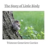 The Story of Little Birdy by 