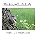 The Story of Little Birdy by 