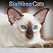 Siamese Cat Calendar - Calendars 2016 - 2017 Wall Calendars - Cat Calendar - Animal Calendar - Siamese Cats 16 Month Wall Calendar by Avonside