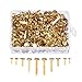WILLBOND 500 Pieces Brass Plated Paper Fasteners Round Metal Brads with Storage Box Assorted Size Brads (Gold)