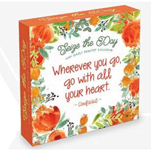 Seize The Day 2019 Daily Desk Boxed Calendar
