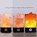 NEWBKO Himalayan Salt Lamp, Crystal Salt Lamp,Natural Air Purifying Dimmable Pink Salt Rock Crystal Amber LED Desk Night Light, Crystal Salt Lamp,with Adjustable 7 Colors Dimmer Control
