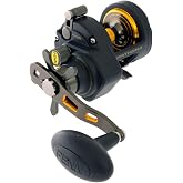Penn Fathom II Star Drag Conventional Fishing Reel, Black Gold, 25N