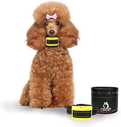 MINT | YELLOW | ROYAL Bark Collars by Our K9 – Sound &amp; Humane Adjustable Vibration. Rechargeable Bark Collar Small Dog - Rounded Safety Prongs - New 2018 Safety protocols Model 3lb – 30lb