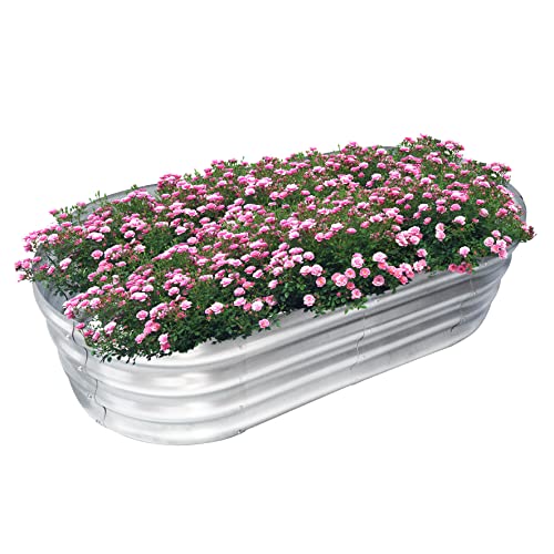 WERYGUTE Galvanized Raised Garden Bed, Metal Garden Bed Oval Planter Boxes Outdoor for Gardening, Stock Tank for Vegetables, Herbs with Gloves, Plant Tags and Labels 4*2*1ft (Silver)