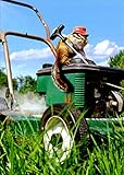 Chipmunk Lawnmower Cute Funny Father's Day Card