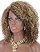 Kalyss Synthetic Brown Blonde Highlights Afro Kinky Curly Wigs for Women Side Parted Natural Looking Big Bouncy Hair Wigs