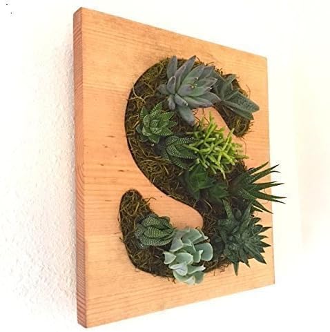 HOLIDAY GIFT: Initial Letter Succulent + Cacti Vertical Garden || Living Wall || Wall Planter || Hanging Planter - Order by 12/9 to receive by X-MAS