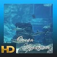 Ocean Aquarium HD