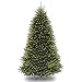National Tree Company Artificial Full Christmas Tree, Green, Dunhill Fir, Includes Stand, 10 Feet