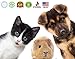 Odie and Cody Natural Dog Shampoo, Organic Pet Shampoo for Dogs, Cats, Puppies, Kittens, Guinea Pigs & More, Hypoallergenic, Soothes Dry Skin (16 oz) Made in USA