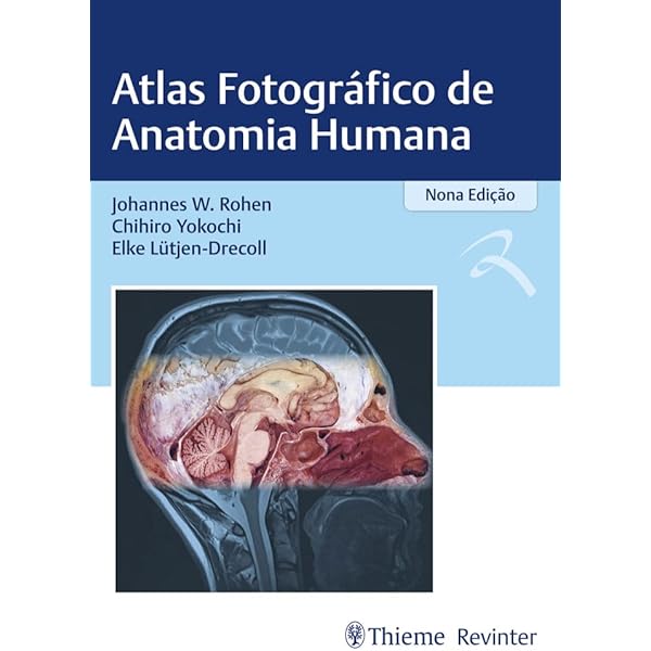 Netter's Anatomy Flash Cards | Amazon.com.br