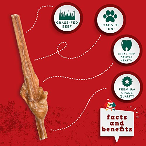 Jack&Pup for Dogs Bladder Bully Sticks for Small Dogs 6 Inch Baby Bully Stick Dog Chew