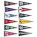 Mountain West Conference College Pennant Set