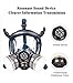 Organic Vapor Respirator full face gas mask with Double Activated Carbon Air Filter (Black)