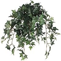 Amazon.de Bestseller: Die beliebtesten Artikel in