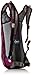 High Sierra Propel Hydration Pack, Boysenberry/Ash, 2-Liter