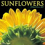 Sunflowers 2017 Wall Calendar