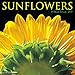 Sunflowers 2017 Wall Calendar