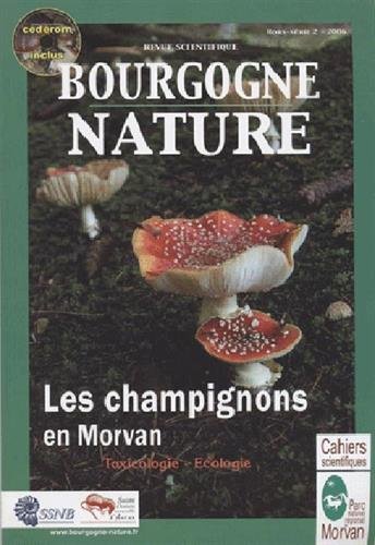 Les  champignons en Morvan