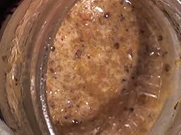 Amazon.com : Really Raw Honey Raw Honey, 16 oz : Grocery & Gourmet Food