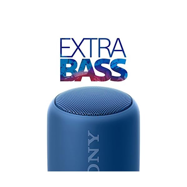 sony srs xb10 skipping