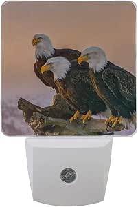 Luz de noche con LED con sensor inteligente de anochecer al amanecer