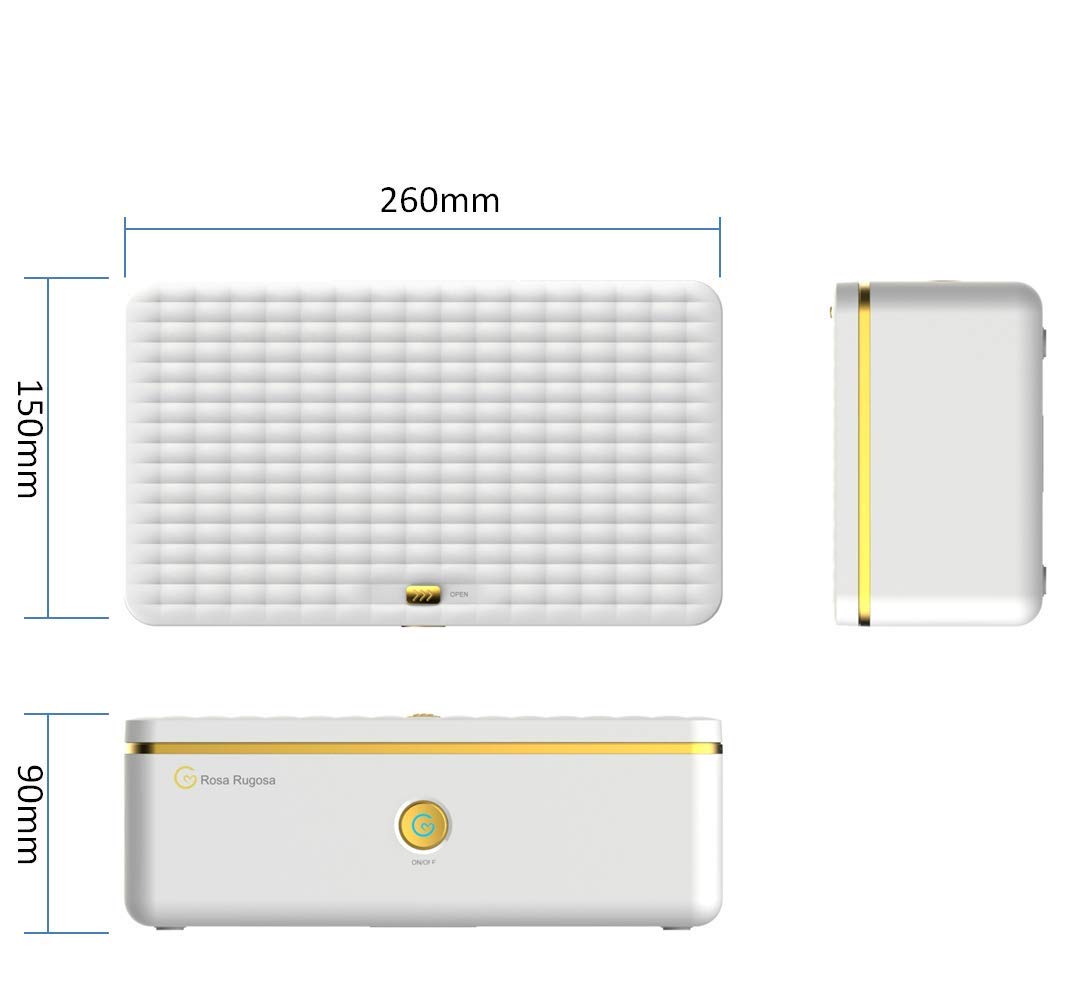 Rosa Rugosa Portable UV Light Plus Ozone Sterilization Box - Hygienic Locking Sexy Toy Storage Box