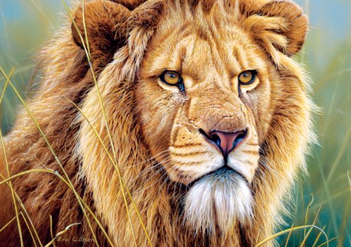 Buffalo Games Eyes of The Wild, King of Beasts - 500pc Jigsaw Puzzle