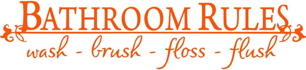 Orange 15" x 60" Bathroom Rules Wash Brush Floss Flush Quote Saying Wall Sticker Home Decal Decor for Bathroom