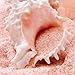 The Spice Lab Pink Himalayan Crystal Bath Salt - Fast Dissolving Fine Grain - Nutrient and Mineral Dense for Health - 1 Kilo 2.2 Pounds
