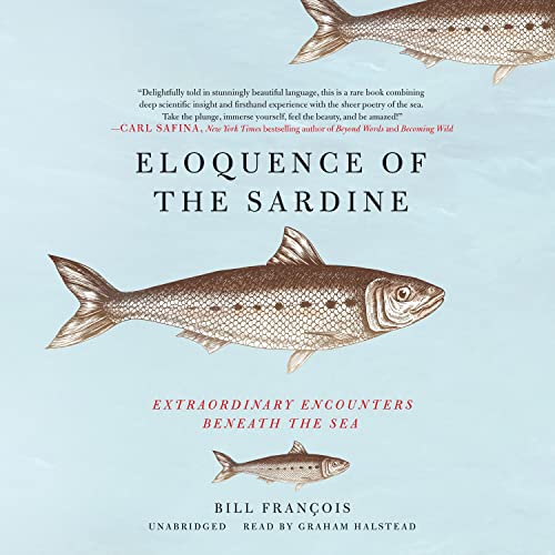 Eloquence of the Sardine: Extraordinary Encounters Beneath the Sea