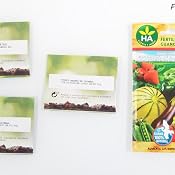 Huerto Urbano - Seed Box Picante - Batlle: Amazon.es: Jardín