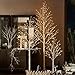 Hairui Lighted Birch Tree Plug in 4FT 72 LED White Twig Tree with Lights for Thanksgiving Christmas Room Decorations Indoor Outdoor