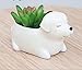 Youfui Cute Dog Flowerpot Resin Succulent Planter Desk Mini Ornament (Labrador)