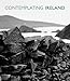 Contemplating Ireland by 