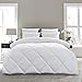 Basic Beyond Lightweight Down Comforter Queen Size,All Season White Queen Down Feather Comforter with Corner Tabs,88