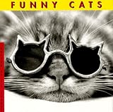 Funny Cats by 