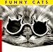 Funny Cats by 