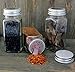 One Dozen 4-Ounce Glass Spice Jars with Shaker/Lift & Pour Inserts & Silver Labels & Silver Metal Lids (12-Pack); Square Bottles Perfect for Any Spice Rack