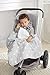 aden + anais Premium Flannel Stroller Blanket, Fate