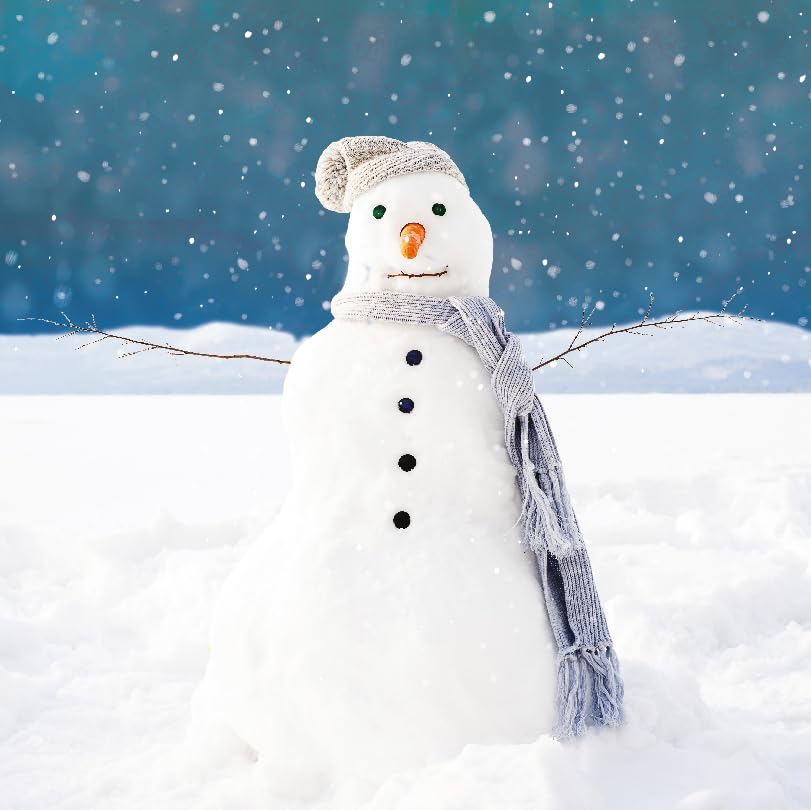 Photographic Winter Festive Art Charity Christmas Cards - Eco-Friendly - Pack of 6 (Proud Snowman)
